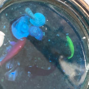 Kleine Fischschale
