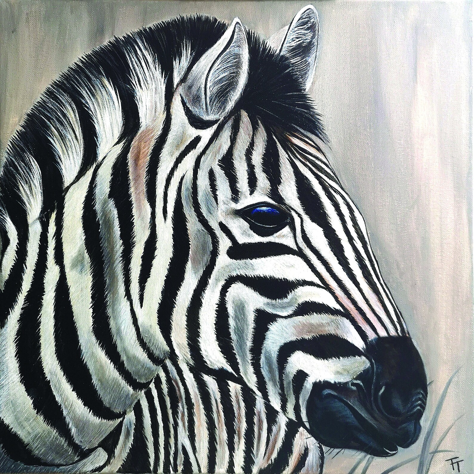 Digital Art Print African Zebra Wall Art Zebra Black and White | Etsy