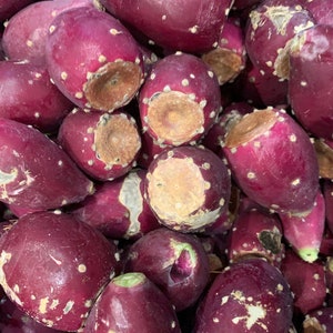 12 Prickly Pear Fruit / Tunas (Approximately 1.5 lb)  - Wild Harvested