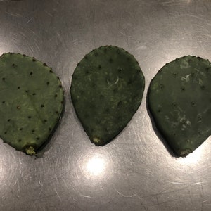 3 Wild Texas Prickly Pear Cactus Pads (Nopales)