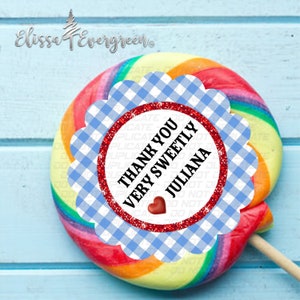 Gingham and Glitter Over the Rainbow Mini or Jumbo Swirl Pops | Party Favors | Oz Inspired