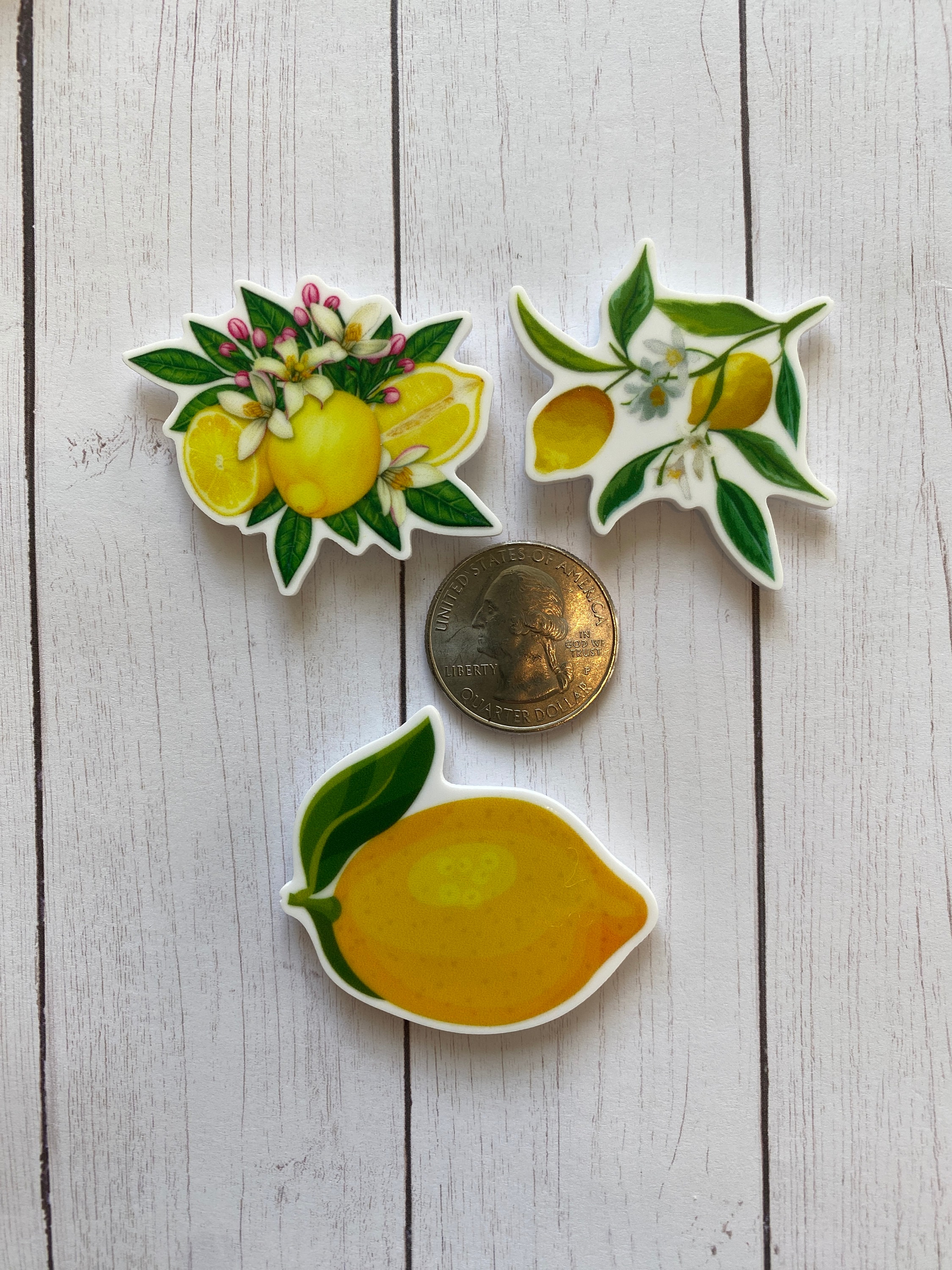 Lemon Magnets Lemon Magnets - Lemon Decor - Lemon Stuff - Summer Decor - Lemon Lover ...