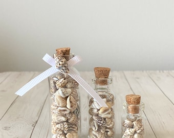 MINI Seashell Jars - Tiered Tray Decor - Tiered Tray Stuff - Beach Themed Decor - Summer Gift - Seashell Decor - Beach Lover - SMALL Jars