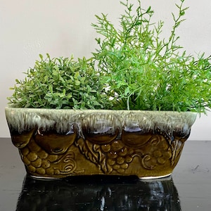 May include: A green and brown glazed ceramic planter with a grapevine design. The planter is filled with two types of green plants.