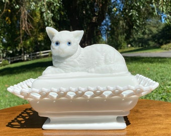 glass cat dish