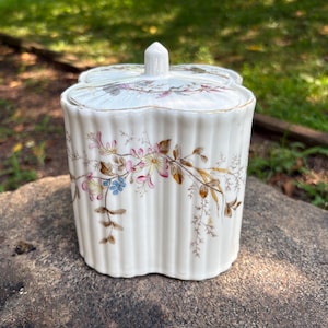 Antique Marx & Gutherz Carlsbad biscuit jar, Made in Austria, Antique floral lidded jar