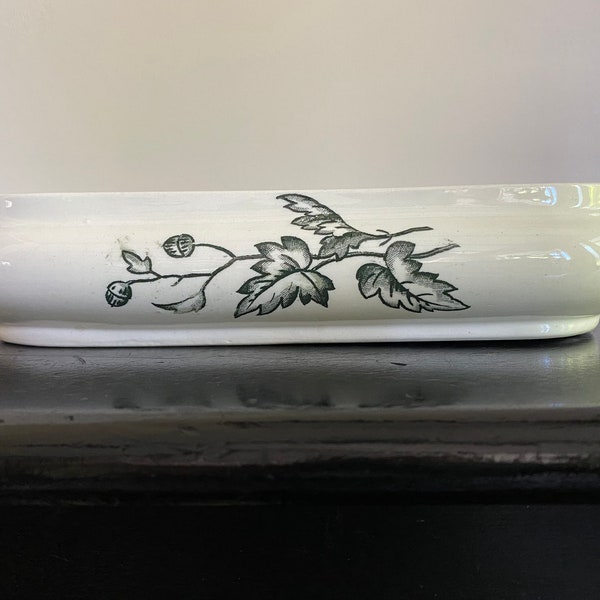 Vintage transferware toothbrush holder or soap dish with oak leaf/acorn design