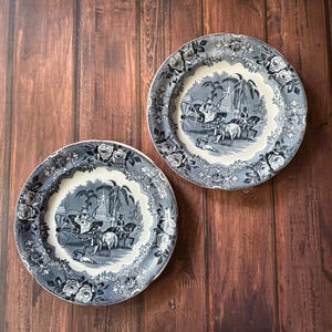 May include: Two antique blue and white decorative plates. Each plate features a central scene of a horse-drawn carriage and figures, surrounded by a floral border. The plates are set against a dark wood background.