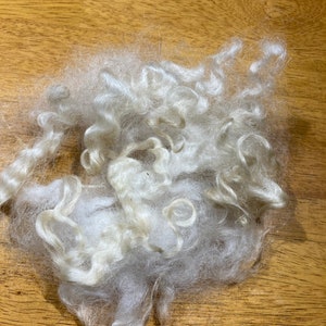 May include: A pile of white, fluffy sheep wool. The wool is loose and unspun, and it appears to be very soft.
