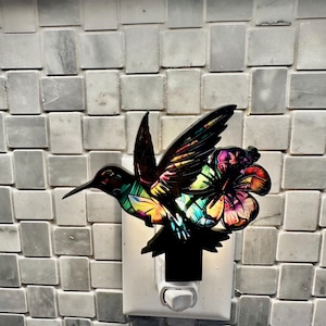 May include: A colorful hummingbird nightlight with a flower design. The nightlight is plugged into an electrical outlet.