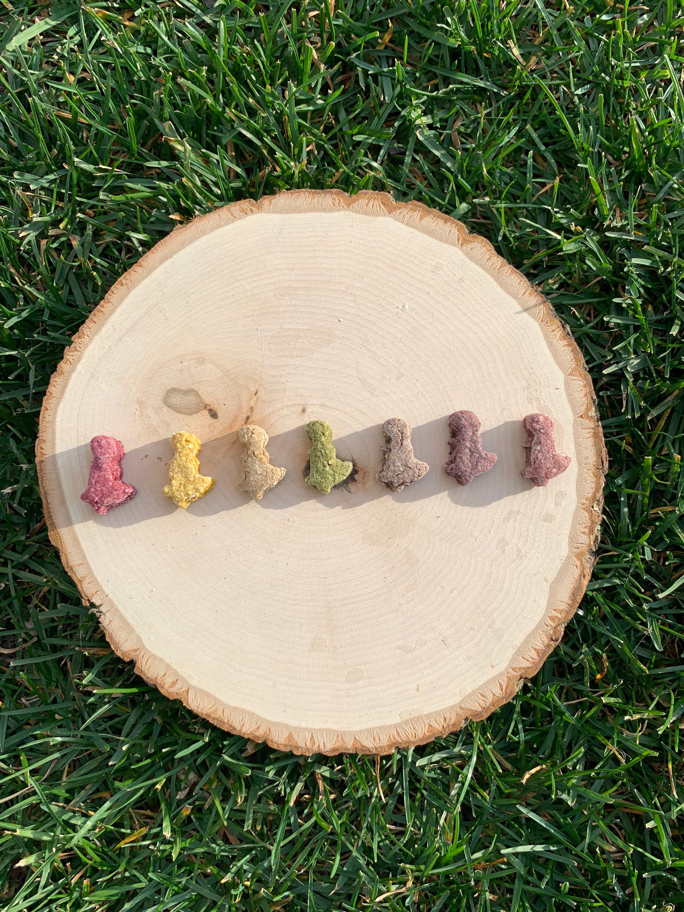 THE ORIGINAL | Oat Based Dino Bite | Rabbit and Small Pet Treats