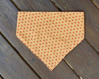 Bandana citrouille épicée