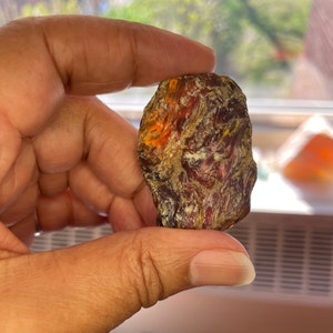 May include: A close-up of a piece of amber with a reddish-brown, orange, and yellow color. The amber has a rough, textured surface.