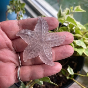 Clear Fluorite Starfish/Crystals for Healing/Meditation Crystals/Chakra Crystals/Spiritual Décor/Love Crystal