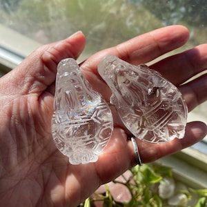Dragon Turtle Quartz Crystals/Crystals For Money/Collector Crystal/Abundance Crystals/Spiritual Décor