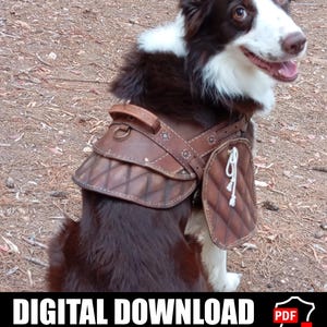 Patrón de arnés de cuero para perros / Armadura para mascotas / Instrucciones para hacerlo tú mismo