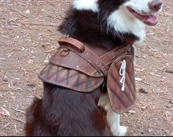 Dog harness leather pattern | Pet armor | DIY instructions