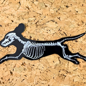 以下が含まれることがあります： 白い骨格が重ねられた、走っている犬の黒いシルエット。犬は脚を伸ばして空中にある。