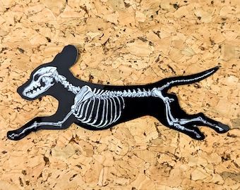 Beagle Dog Skeleton Anatomy Silhouette | Vinyl Decal Glossy Sticker