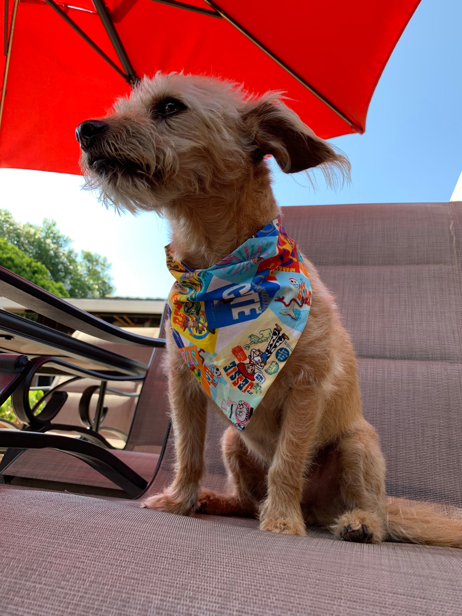 Disney Pixar Dog Bandana with Buckle Etsy