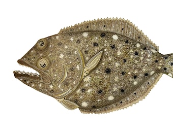 Summer Flounder Original Art Canvas Print 20x10