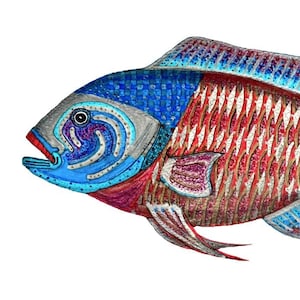 Americanus Cichlid Fish Original Art Canvas Print 20x10