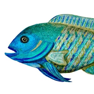 Blue Peacock Cichlid Fish Original Art Canvas Print 20x10