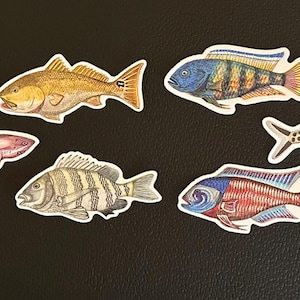 10 Fish Sticker Collection - The Ocean Ridge Fish and the Aquarium Collection