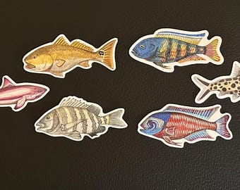 10 Fish Sticker Collection - The Ocean Ridge Fish and the Aquarium Collection