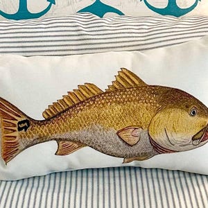 Red Drum Fish Original Art Canvas Pillow