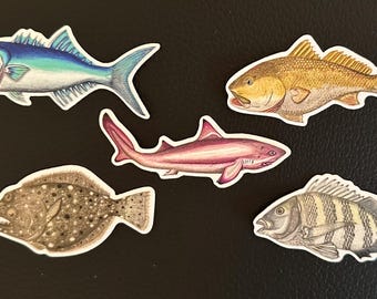 Surf Fish Sticker Collection - The Ocean Ridge Fish