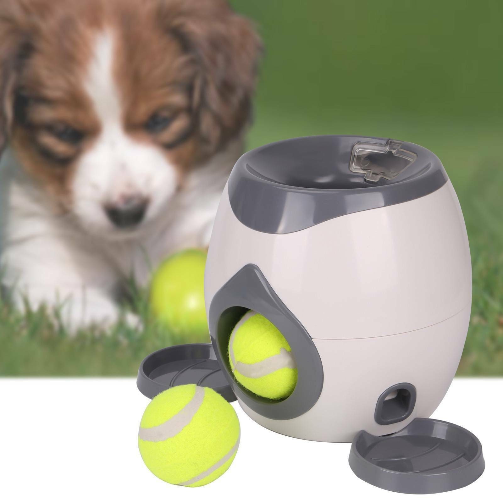 fetch dog toy throws ball