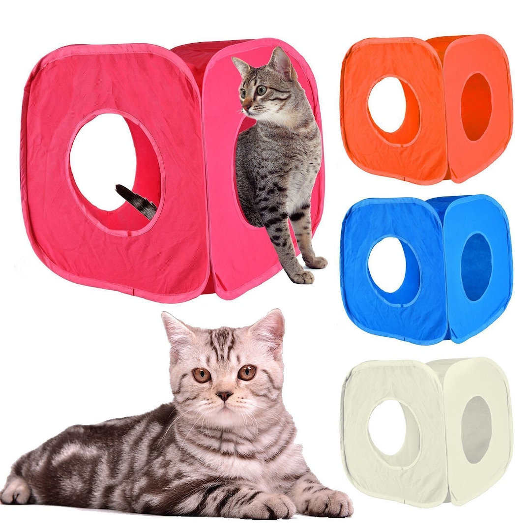 Cat Toys, Kitten Puzzle, Interactive Cat Toy, Cat Play Furniture, Cat Puzzle,  Toys for Cats, Cat Play Box, Kitty Toys, Halloween 