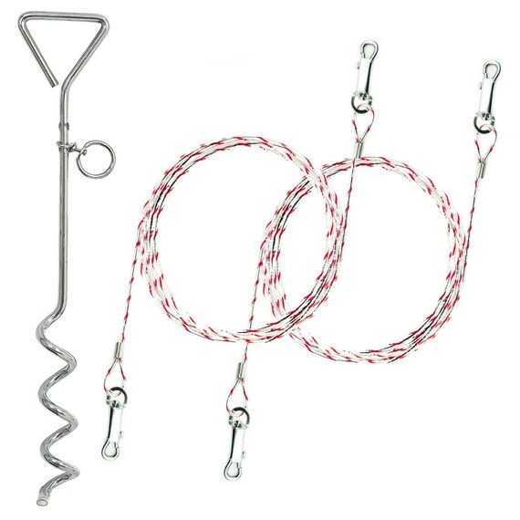 Heavy duty dog top stake out ground spike