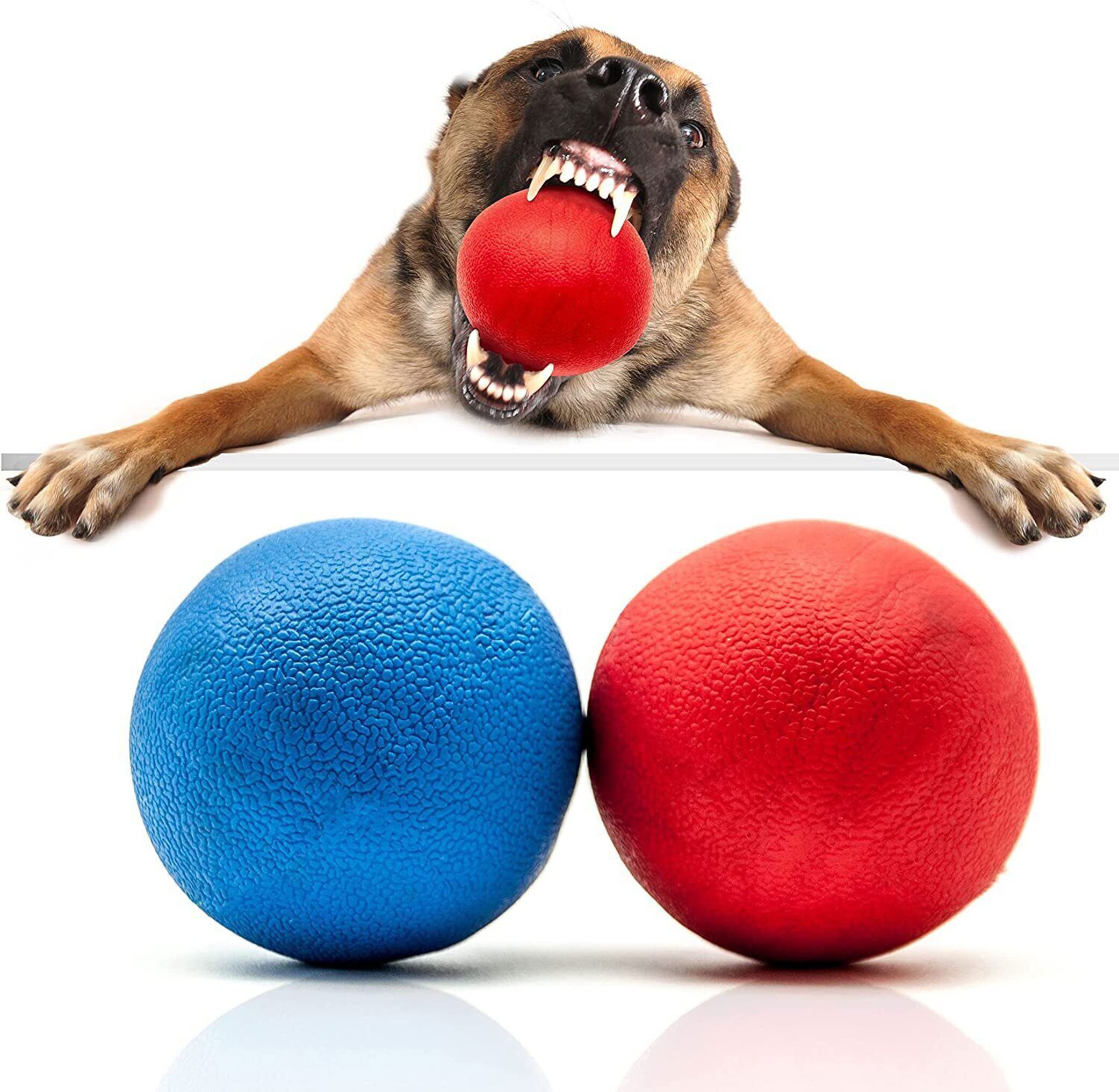 4pk Rubber Dog Balls  Bouncy Puppy Pet Solid Hard Play Ball Fun