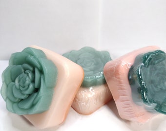 Succulent Soaps | Handcrafted Soap | Handmade Gift | Soap Bars | Nature Soap | Novelty Bath|