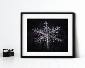 Snowflake Close Up Photo, Nature Photography, Snowflake Photography, Macro Photography, Photo, Giclee Print, Metal Print, Wall Decor