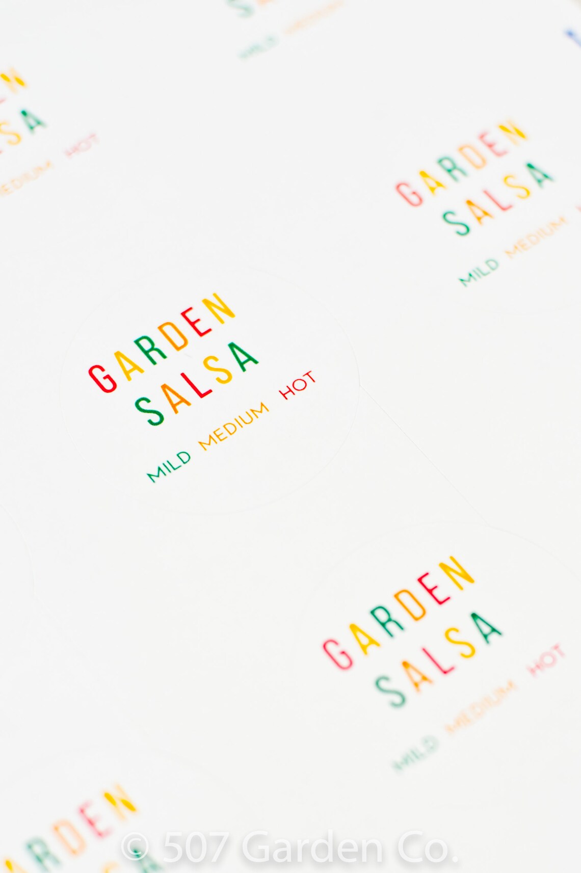 2 SALSA PRINTABLE LABEL Instant Download Salsa Canning | Etsy