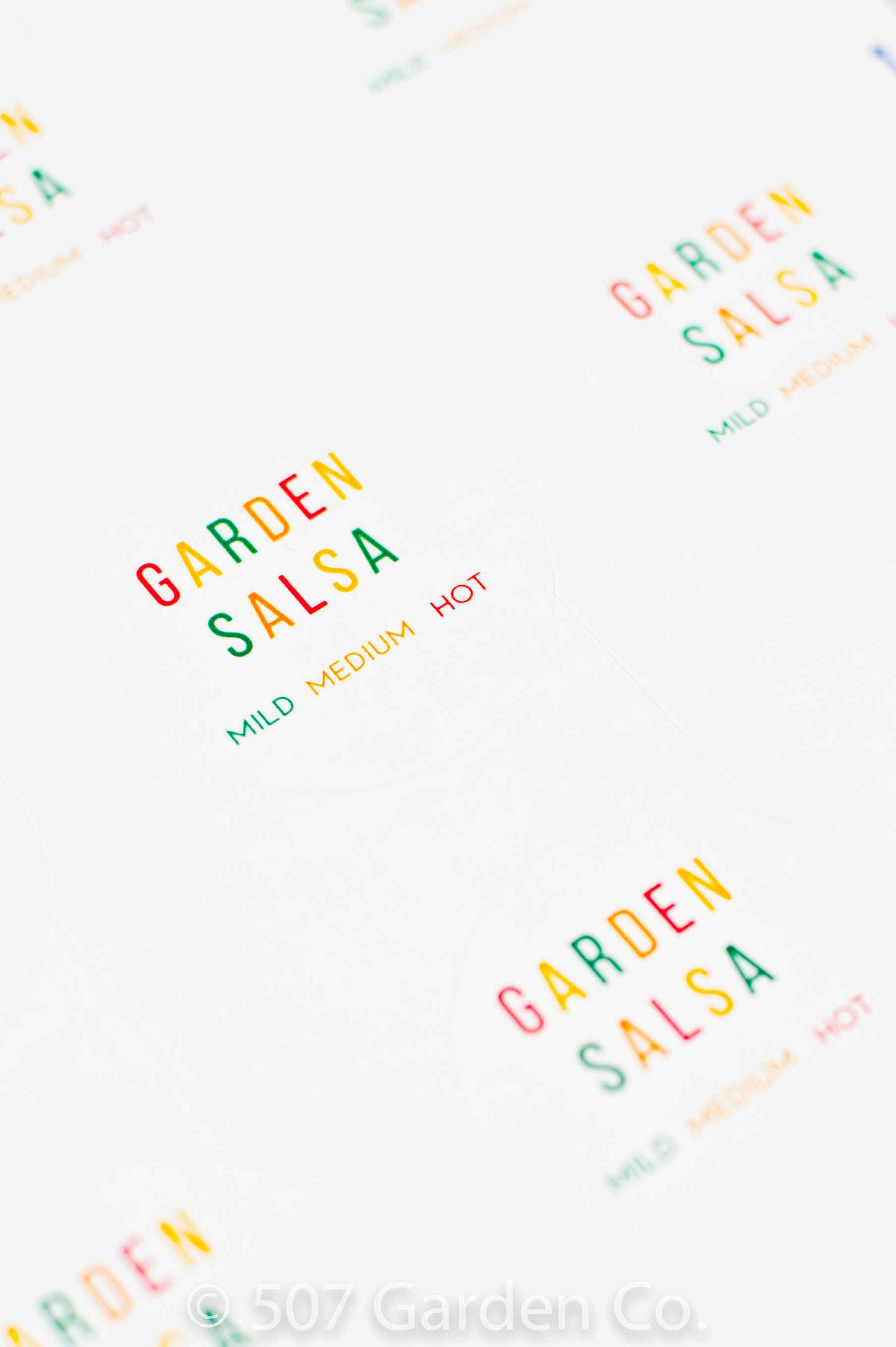 2 SALSA PRINTABLE LABEL Instant Download Salsa Canning | Etsy