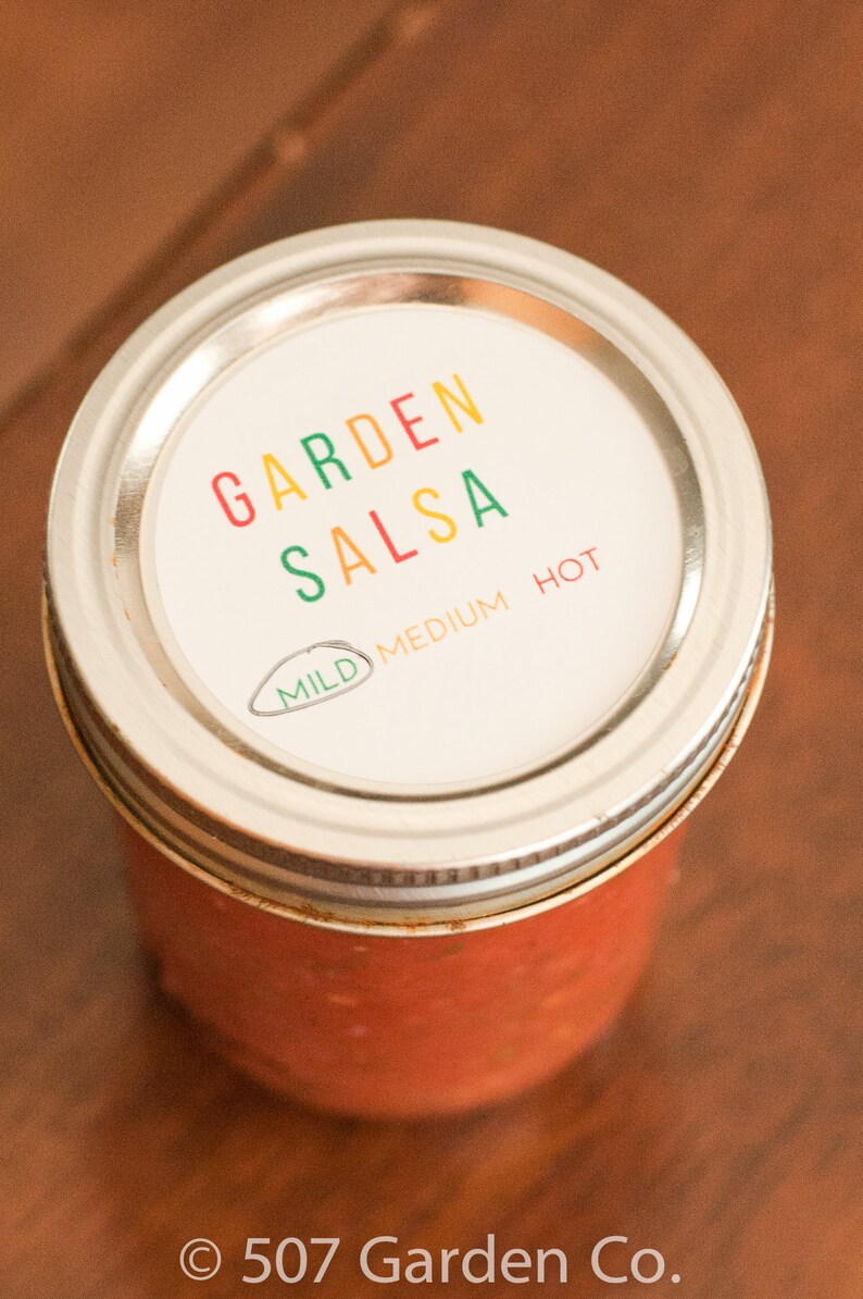 2 SALSA PRINTABLE LABEL Instant Download Salsa Canning | Etsy