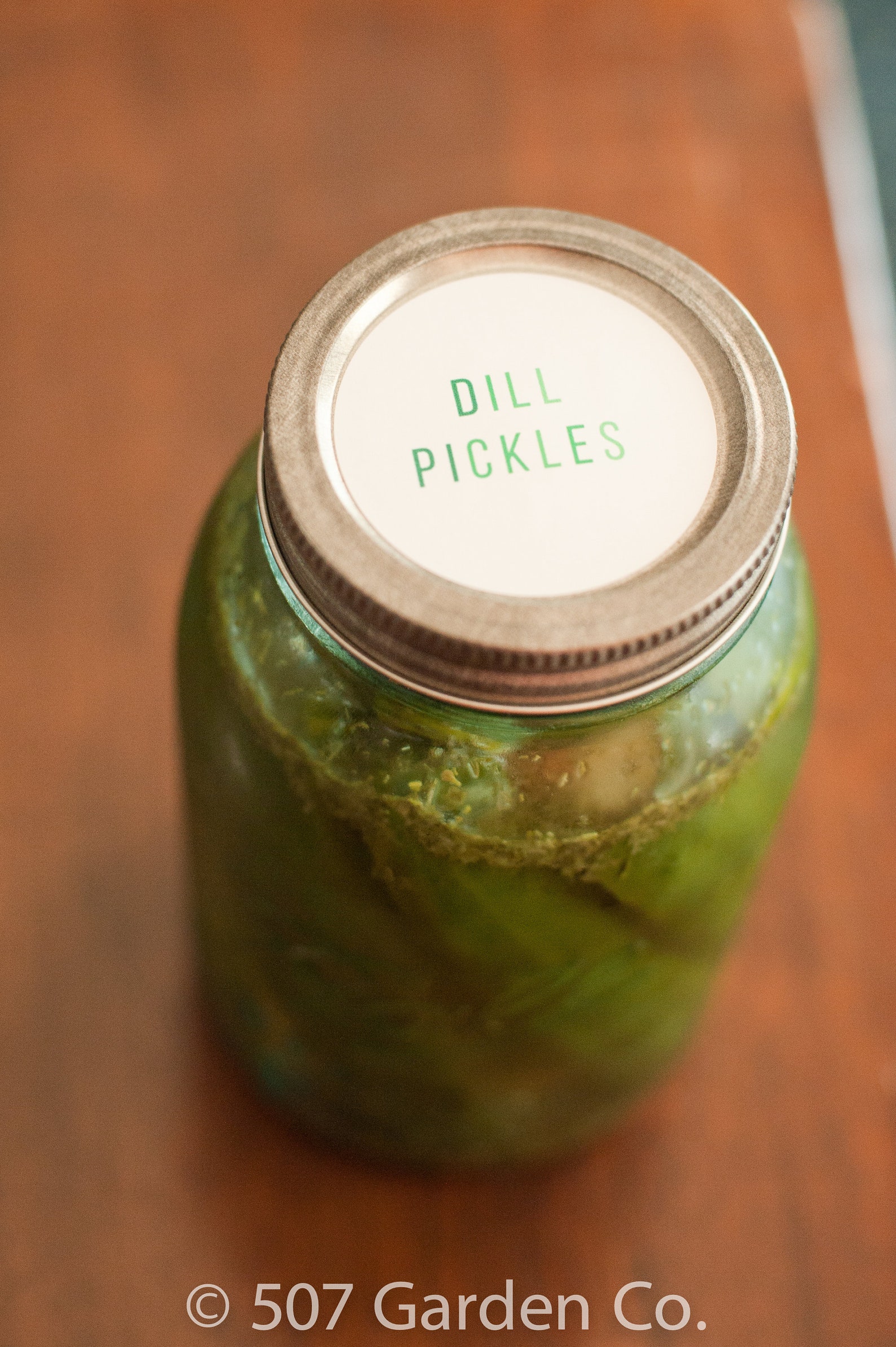 2 DILL PICKLE PRINTABLE label Instant Download Pickle Etsy