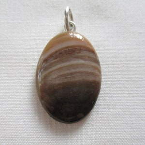 Petrified Wood Pendant ~Hand Cut & Polished Petrified Wood~ Sterling Silver