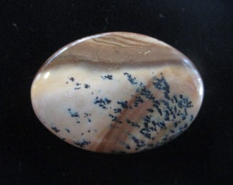 May include: A smooth, oval-shaped stone with a light brown, cream, and white background. The stone has a unique pattern of black dendrites, resembling branches or veins.