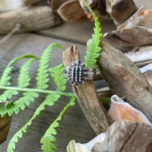 May include: A silver ring with a textured, spiky design, resembling a cactus. The ring rests on a piece of driftwood, with green fern leaves and seashells in the background. The ring is a unique piece of jewelry.