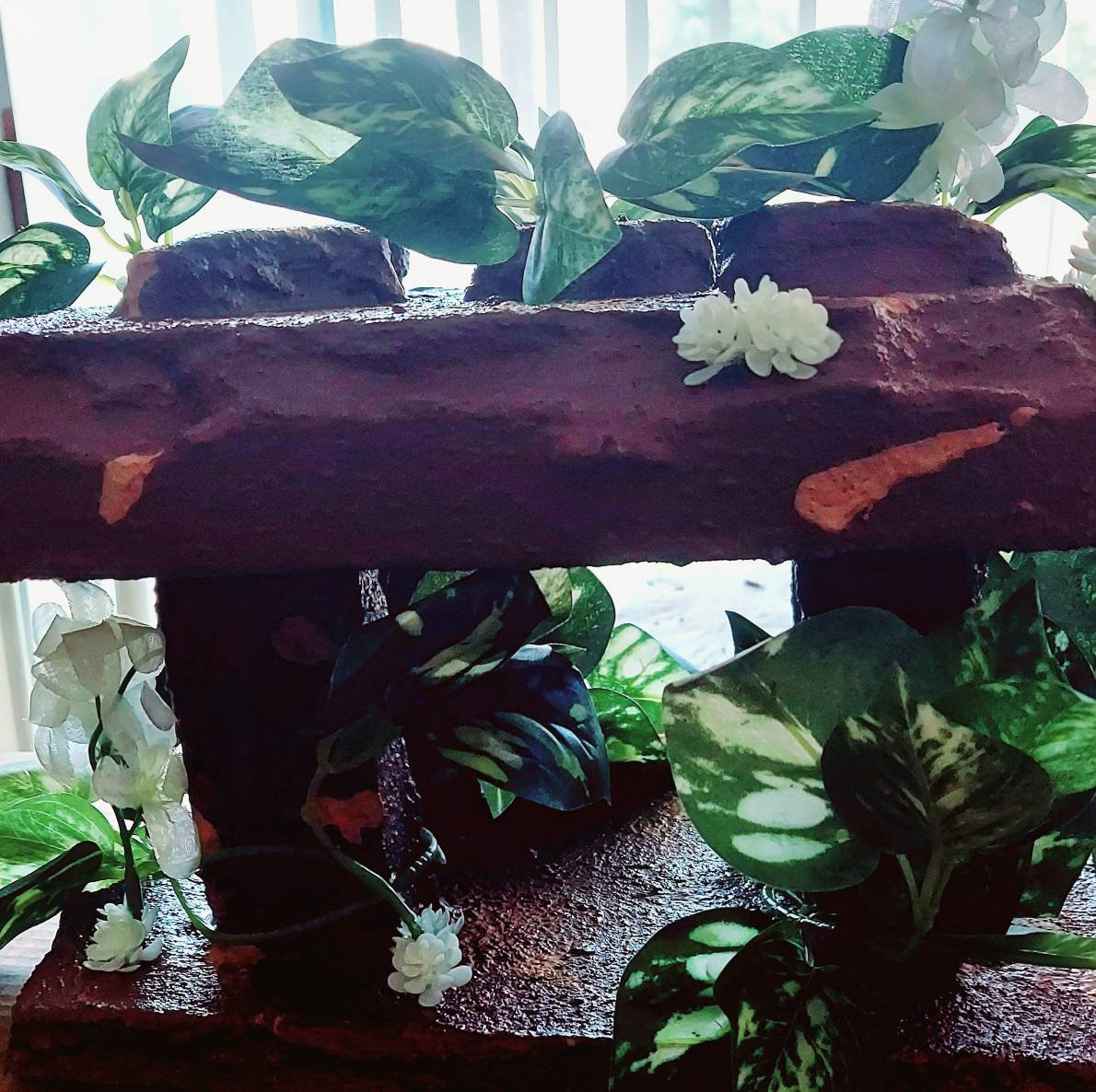 Bearded Dragon Basking Platform/Basking Spot/Reptile Decor Etsy