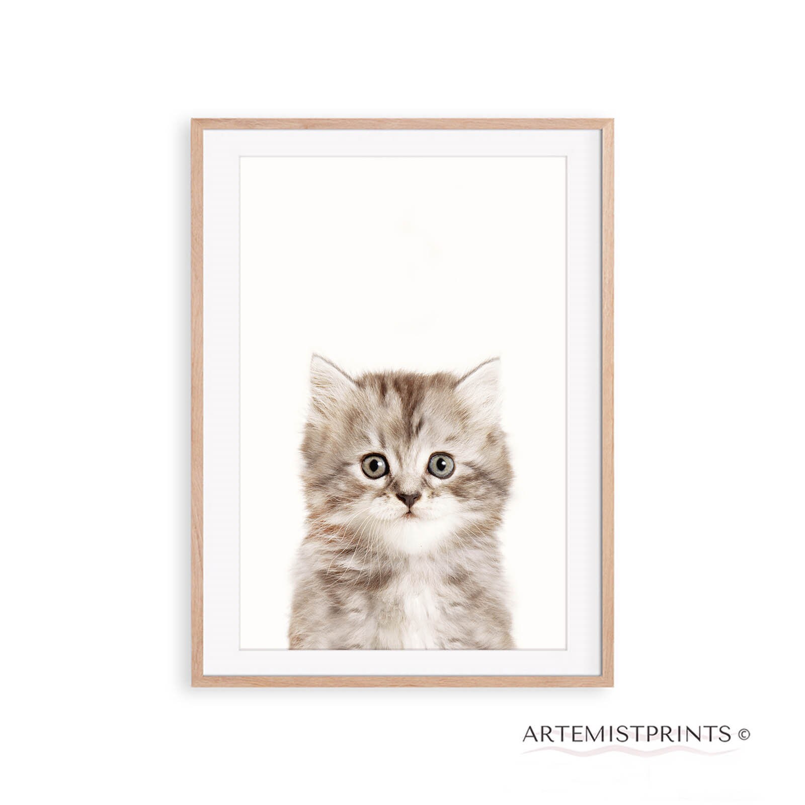 Kitten Prints Baby Animal Prints Nursery Wall Art Print Etsy UK