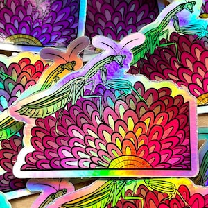 Holografische Praying Mantis 3in Vinyl Sticker - waterdichte waterflessticker met lange levensduur minnaar cadeau coole kleurrijke bloem insect leuk origineel