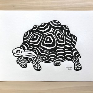 May include: Black and white line art illustration of a turtle with a patterned shell. The turtle is walking to the right. The artist's signature and the year 2020 are in the bottom right corner of the image.