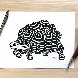 May include: Black and white line art illustration of a turtle with a patterned shell. The artwork is signed "Frances 2020".