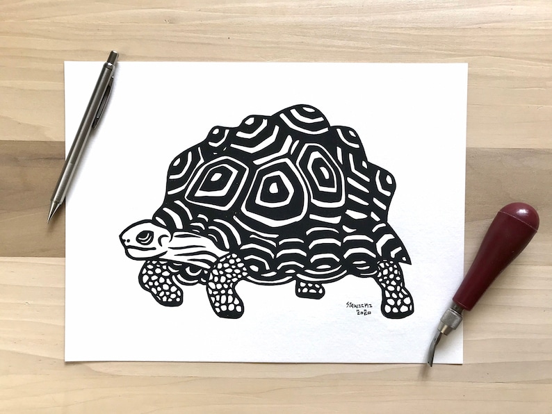 May include: Black and white line art illustration of a turtle with a patterned shell. The artwork is signed "Frances 2020".